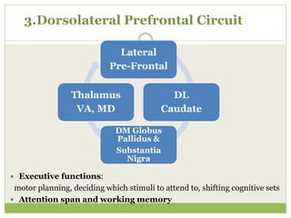 3.Dorsolateral Prefrontal Circuit
 Executive functions:
motor planning, deciding which stimuli to attend to, shifting cognitive sets
 Attention span and working memory
Lateral
Pre-Frontal
DL
Caudate
DM Globus
Pallidus &
Substantia
Nigra
Thalamus
VA, MD
 