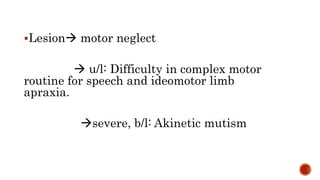 Motor Neglect Frontal lobe- anatomy, physiology, functions and clinical aspects | PPTX