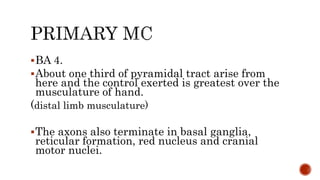 Frontal lobe- anatomy, physiology, functions and clinical aspects | PPTX