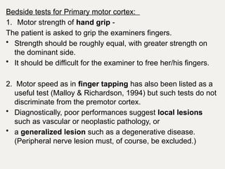 Frontal Lobe.pptx functions and anatomy | PPTX
