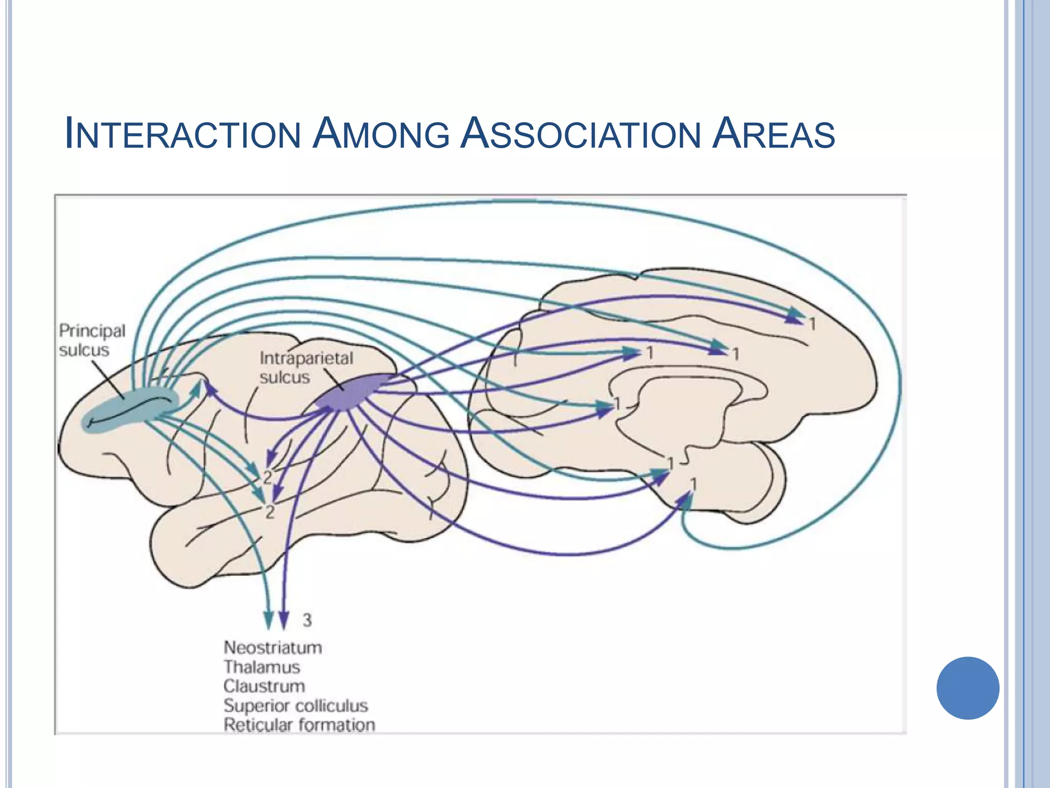 INTERACTION AMONG ASSOCIATION AREAS
 