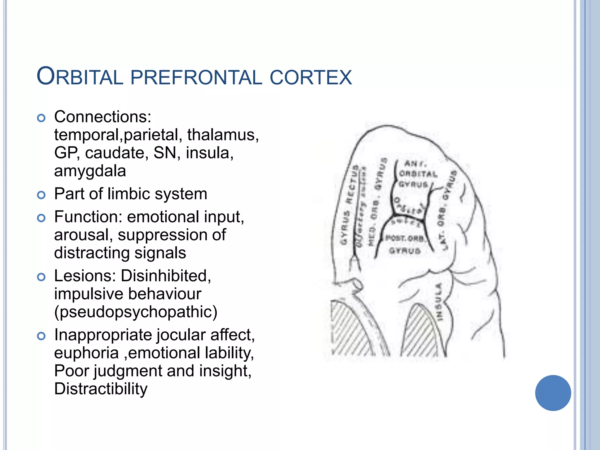 ORBITAL PREFRONTAL CORTEX
   Connections:
    temporal,parietal, thalamus,
    GP, caudate, SN, insula,
    amygdala
   Part of limbic system
   Function: emotional input,
    arousal, suppression of
    distracting signals
   Lesions: Disinhibited,
    impulsive behaviour
    (pseudopsychopathic)
   Inappropriate jocular affect,
    euphoria ,emotional lability,
    Poor judgment and insight,
    Distractibility
 