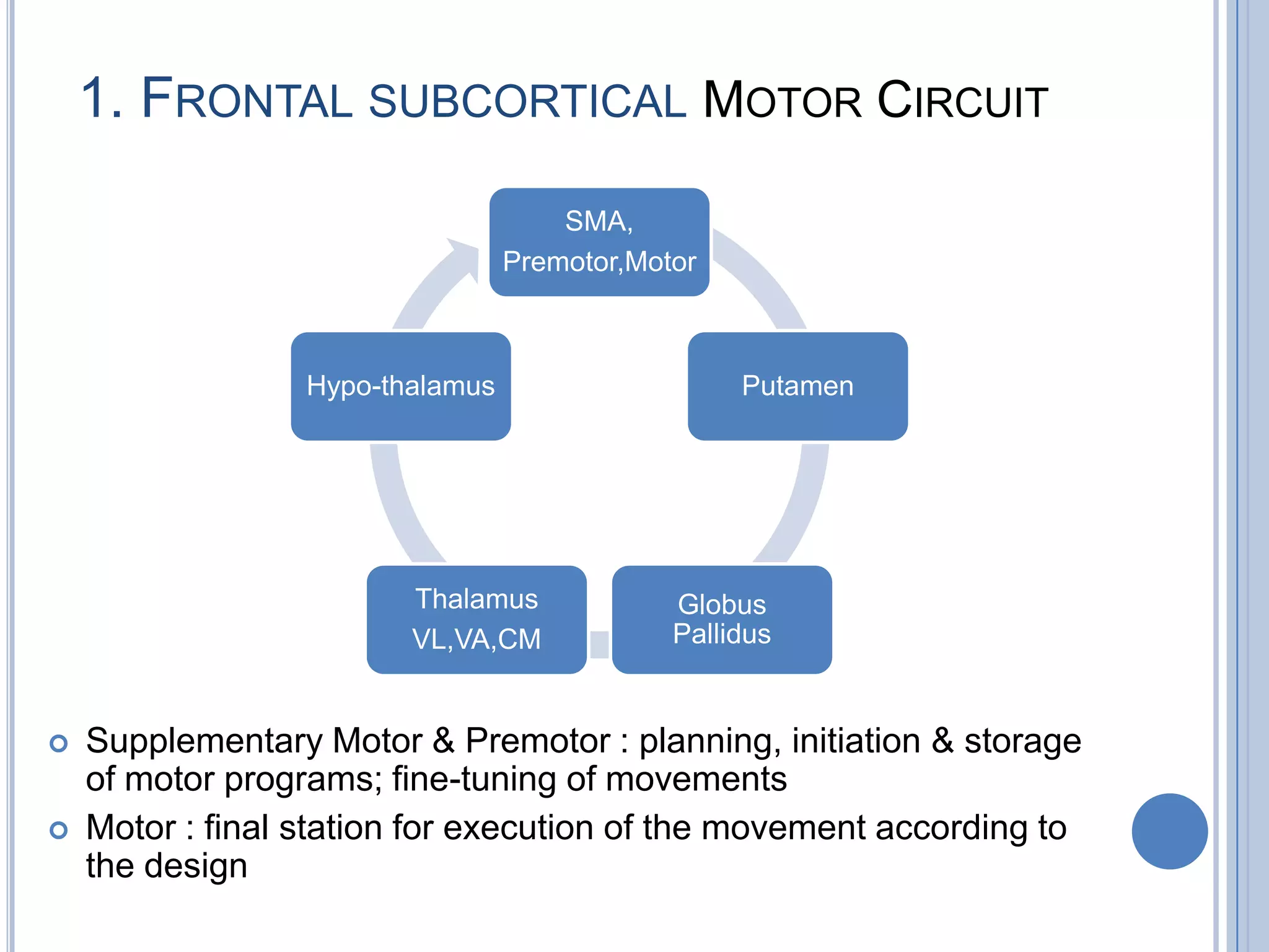 1. FRONTAL SUBCORTICAL MOTOR CIRCUIT

                                      SMA,
                                  Premotor,Motor



                  Hypo-thalamus                    Putamen




                         Thalamus             Globus
                         VL,VA,CM             Pallidus


   Supplementary Motor & Premotor : planning, initiation & storage
    of motor programs; fine-tuning of movements
   Motor : final station for execution of the movement according to
    the design
 