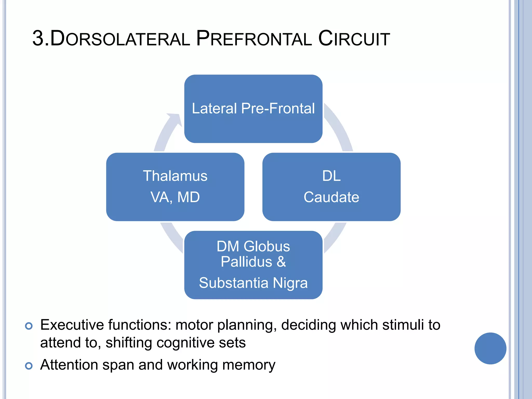 3.DORSOLATERAL PREFRONTAL CIRCUIT


                           Lateral Pre-Frontal



                   Thalamus                   DL
                    VA, MD                  Caudate


                              DM Globus
                              Pallidus &
                            Substantia Nigra

   Executive functions: motor planning, deciding which stimuli to
    attend to, shifting cognitive sets
   Attention span and working memory
 