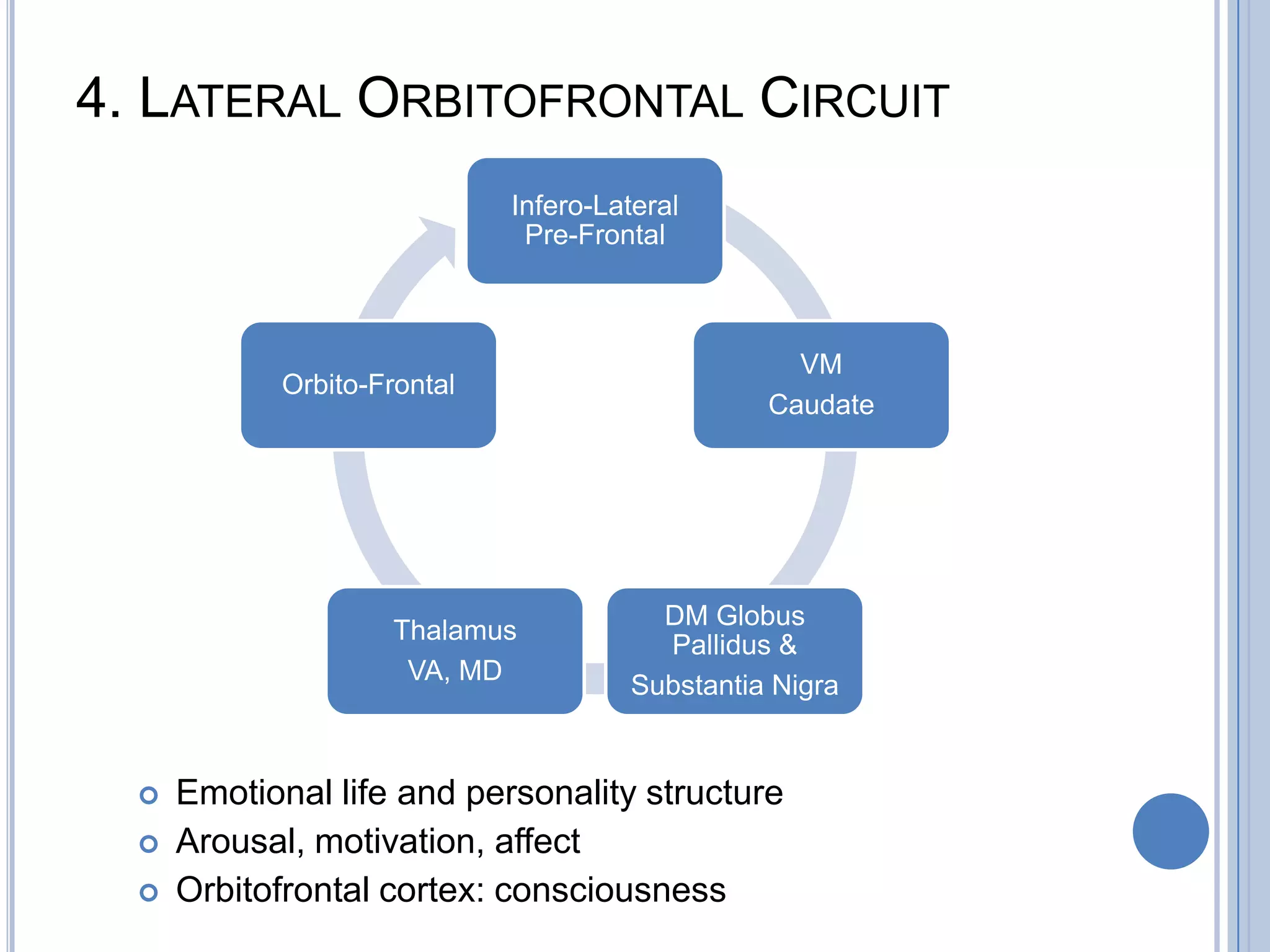 4. LATERAL ORBITOFRONTAL CIRCUIT
                             Infero-Lateral
                              Pre-Frontal



                                                  VM
            Orbito-Frontal
                                                Caudate




                                        DM Globus
                    Thalamus
                                        Pallidus &
                     VA, MD
                                      Substantia Nigra


     Emotional life and personality structure
     Arousal, motivation, affect
     Orbitofrontal cortex: consciousness
 