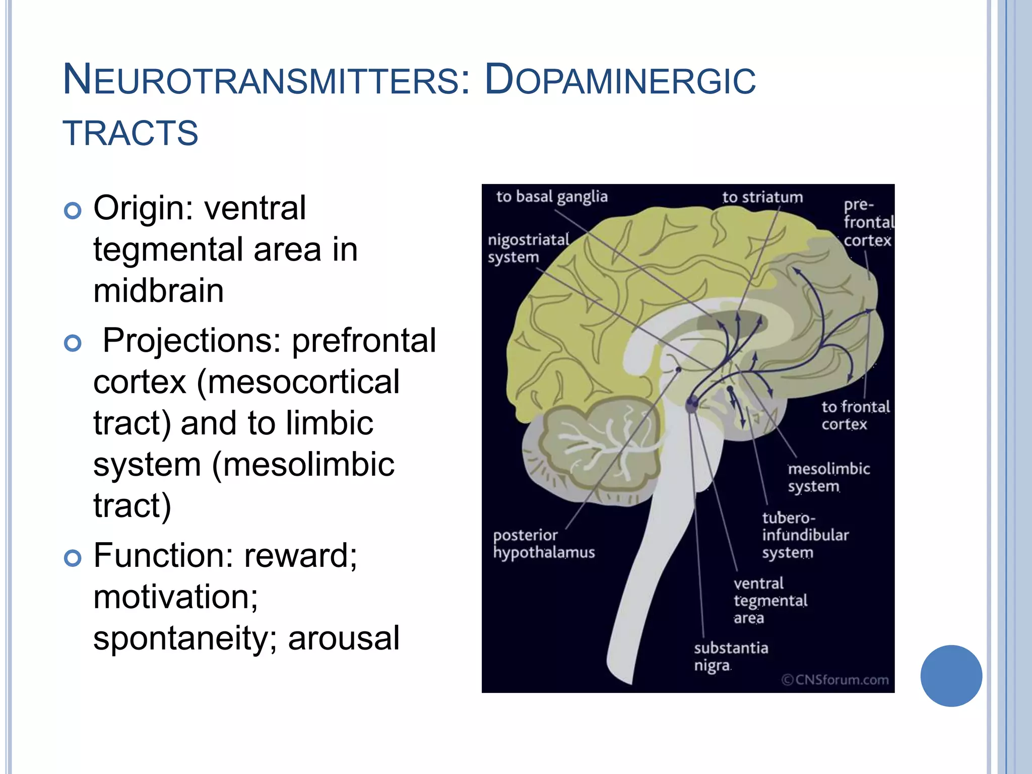 NEUROTRANSMITTERS: DOPAMINERGIC
TRACTS

 Origin: ventral
  tegmental area in
  midbrain
 Projections: prefrontal
  cortex (mesocortical
  tract) and to limbic
  system (mesolimbic
  tract)
 Function: reward;
  motivation;
  spontaneity; arousal
 