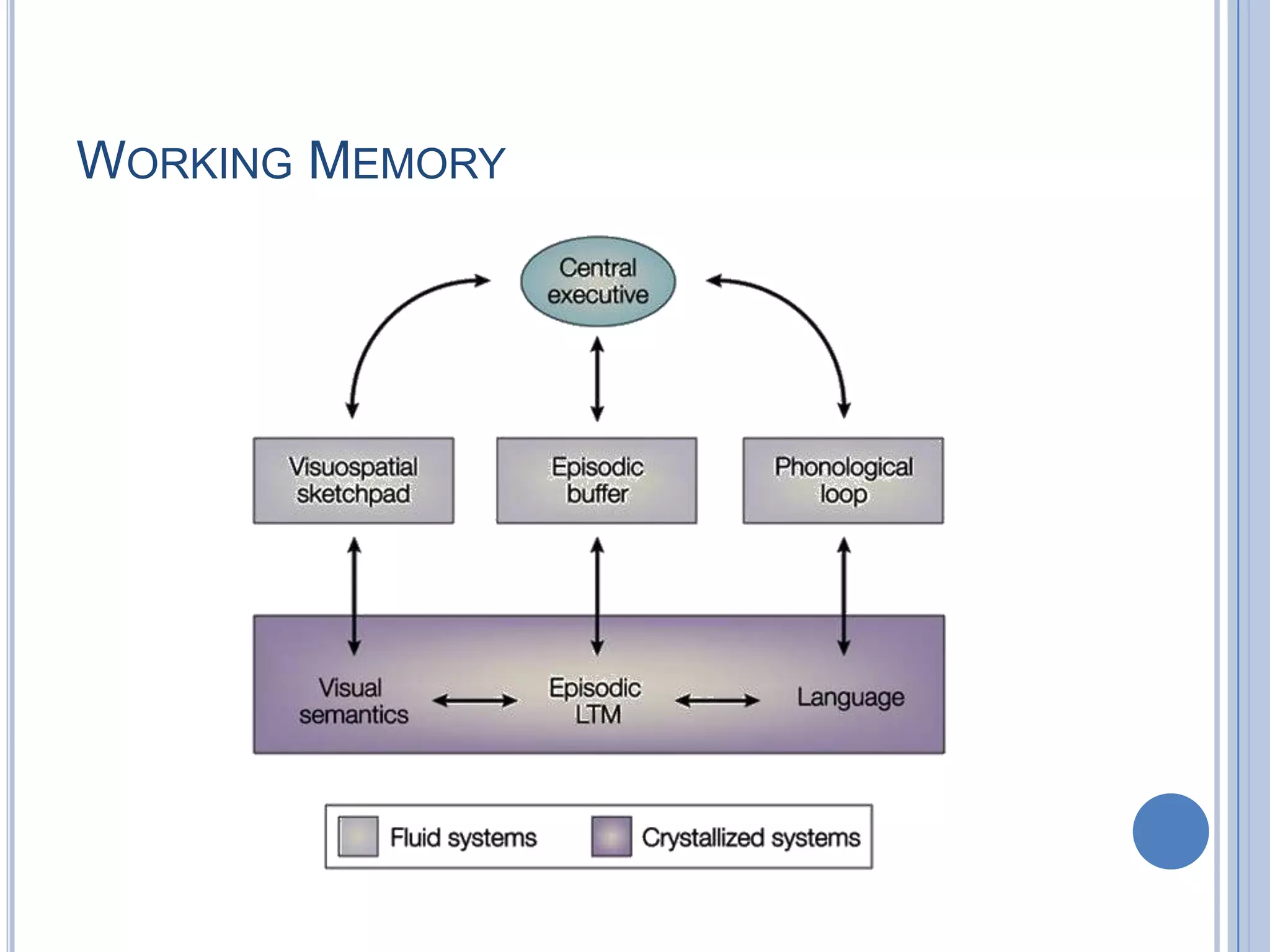 WORKING MEMORY
 