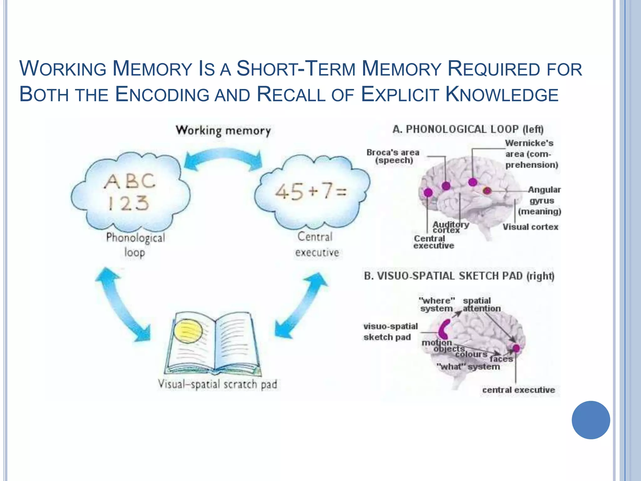 WORKING MEMORY IS A SHORT-TERM MEMORY REQUIRED FOR
BOTH THE ENCODING AND RECALL OF EXPLICIT KNOWLEDGE
 