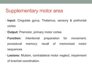 Motor Neglect FRONTAL LOBE ANATOMY AND FUNCTION 1n.pptx