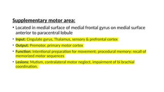 Motor Neglect Frontal lobe anatomy and clinical application.pptx