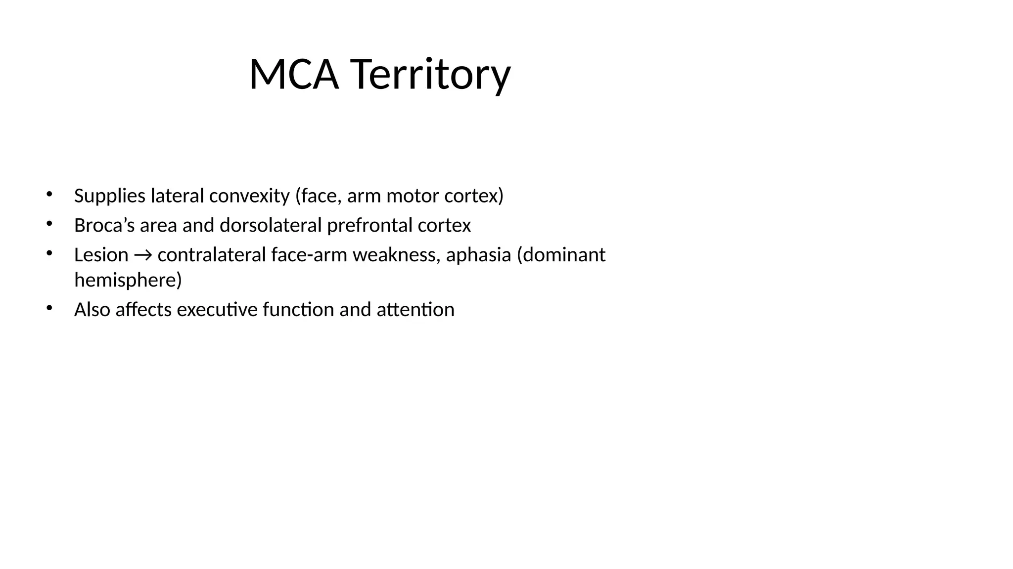 MCA Territory
• Supplies lateral convexity (face, arm motor cortex)
• Broca’s area and dorsolateral prefrontal cortex
• Lesion → contralateral face-arm weakness, aphasia (dominant
hemisphere)
• Also affects executive function and attention
 