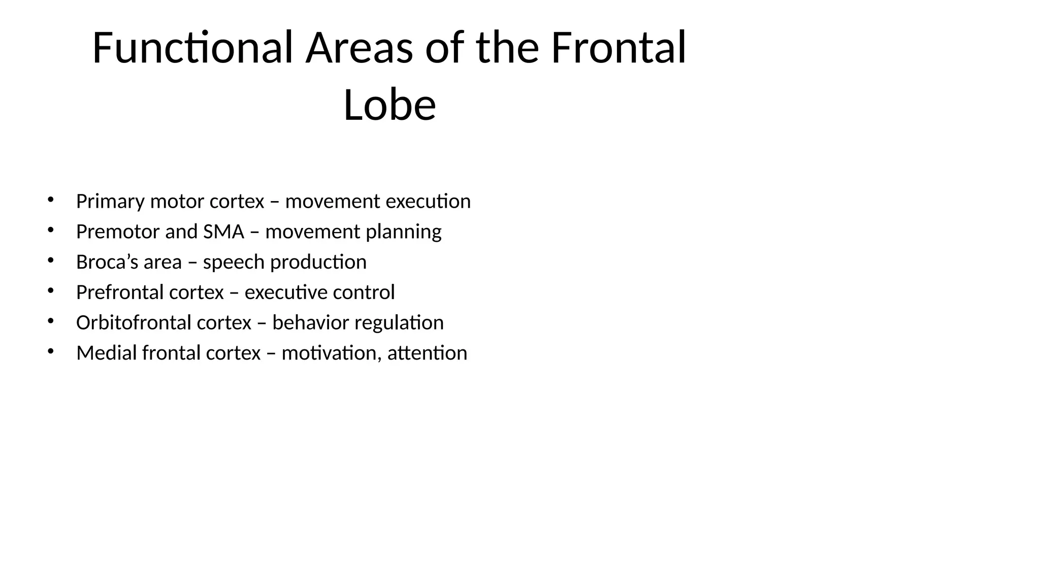 Functional Areas of the Frontal
Lobe
• Primary motor cortex – movement execution
• Premotor and SMA – movement planning
• Broca’s area – speech production
• Prefrontal cortex – executive control
• Orbitofrontal cortex – behavior regulation
• Medial frontal cortex – motivation, attention
 