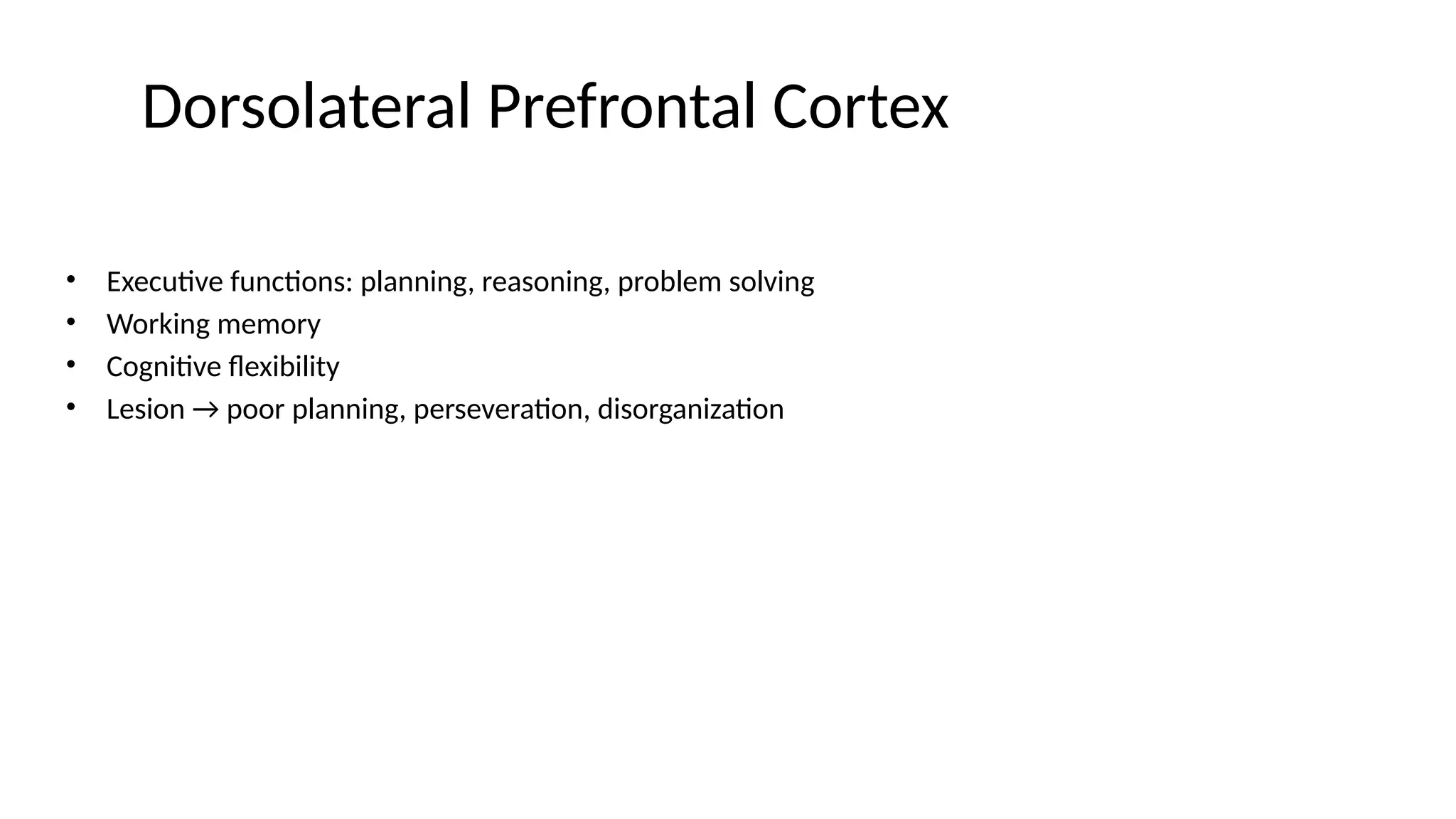 Dorsolateral Prefrontal Cortex
• Executive functions: planning, reasoning, problem solving
• Working memory
• Cognitive flexibility
• Lesion → poor planning, perseveration, disorganization
 