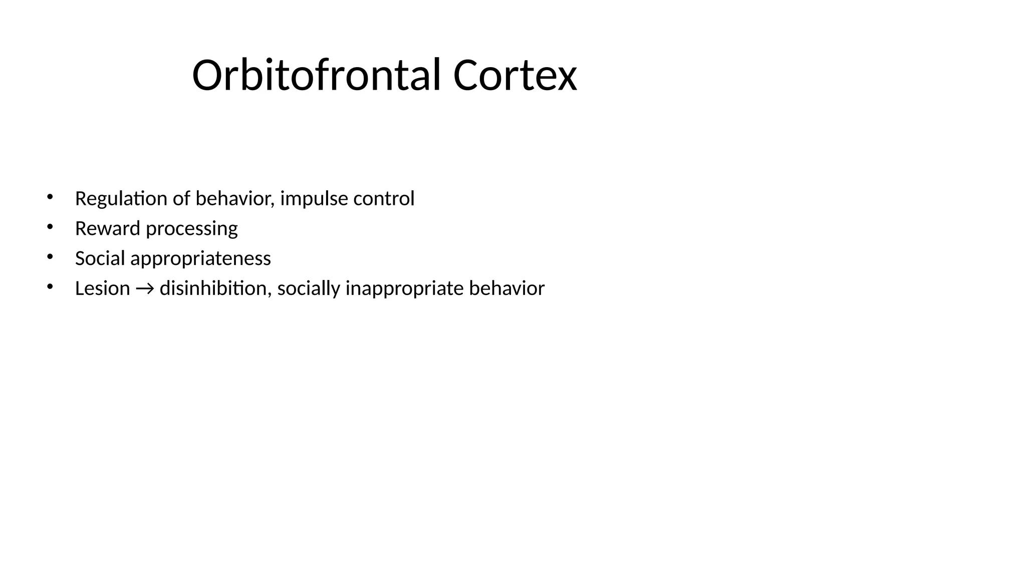 Orbitofrontal Cortex
• Regulation of behavior, impulse control
• Reward processing
• Social appropriateness
• Lesion → disinhibition, socially inappropriate behavior
 