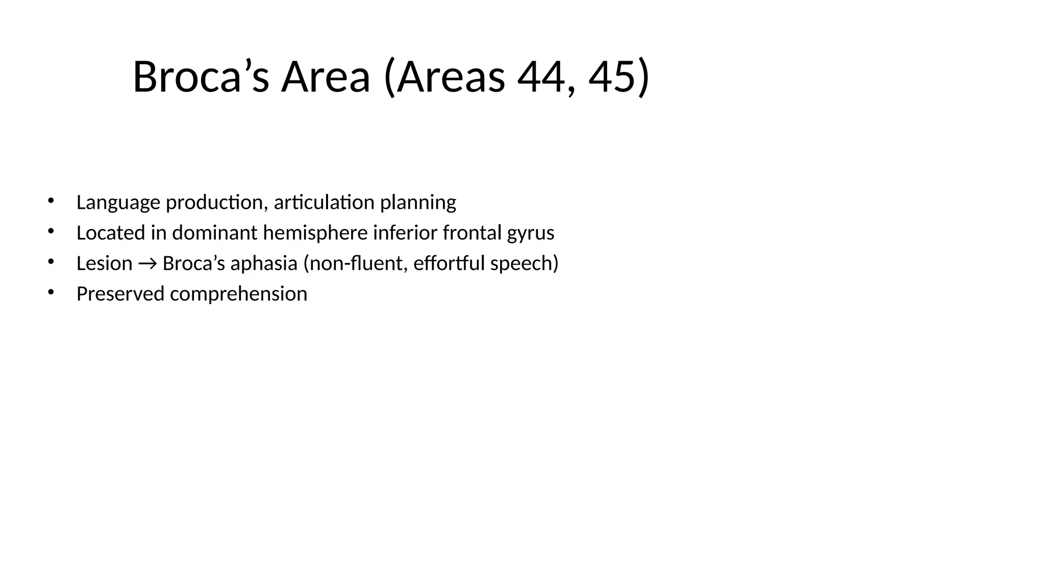 Broca’s Area (Areas 44, 45)
• Language production, articulation planning
• Located in dominant hemisphere inferior frontal gyrus
• Lesion → Broca’s aphasia (non-fluent, effortful speech)
• Preserved comprehension
 