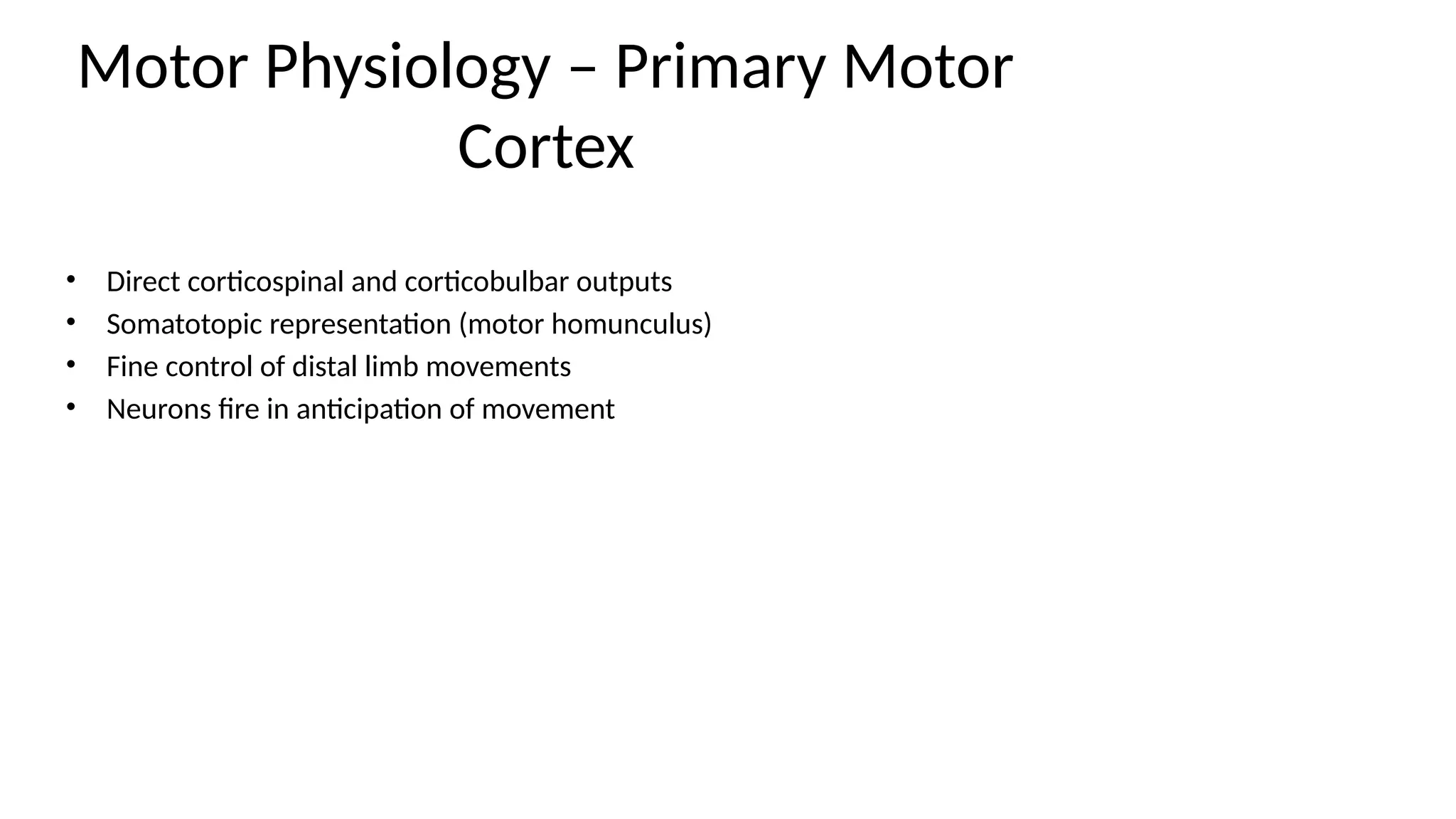 Motor Physiology – Primary Motor
Cortex
• Direct corticospinal and corticobulbar outputs
• Somatotopic representation (motor homunculus)
• Fine control of distal limb movements
• Neurons fire in anticipation of movement
 