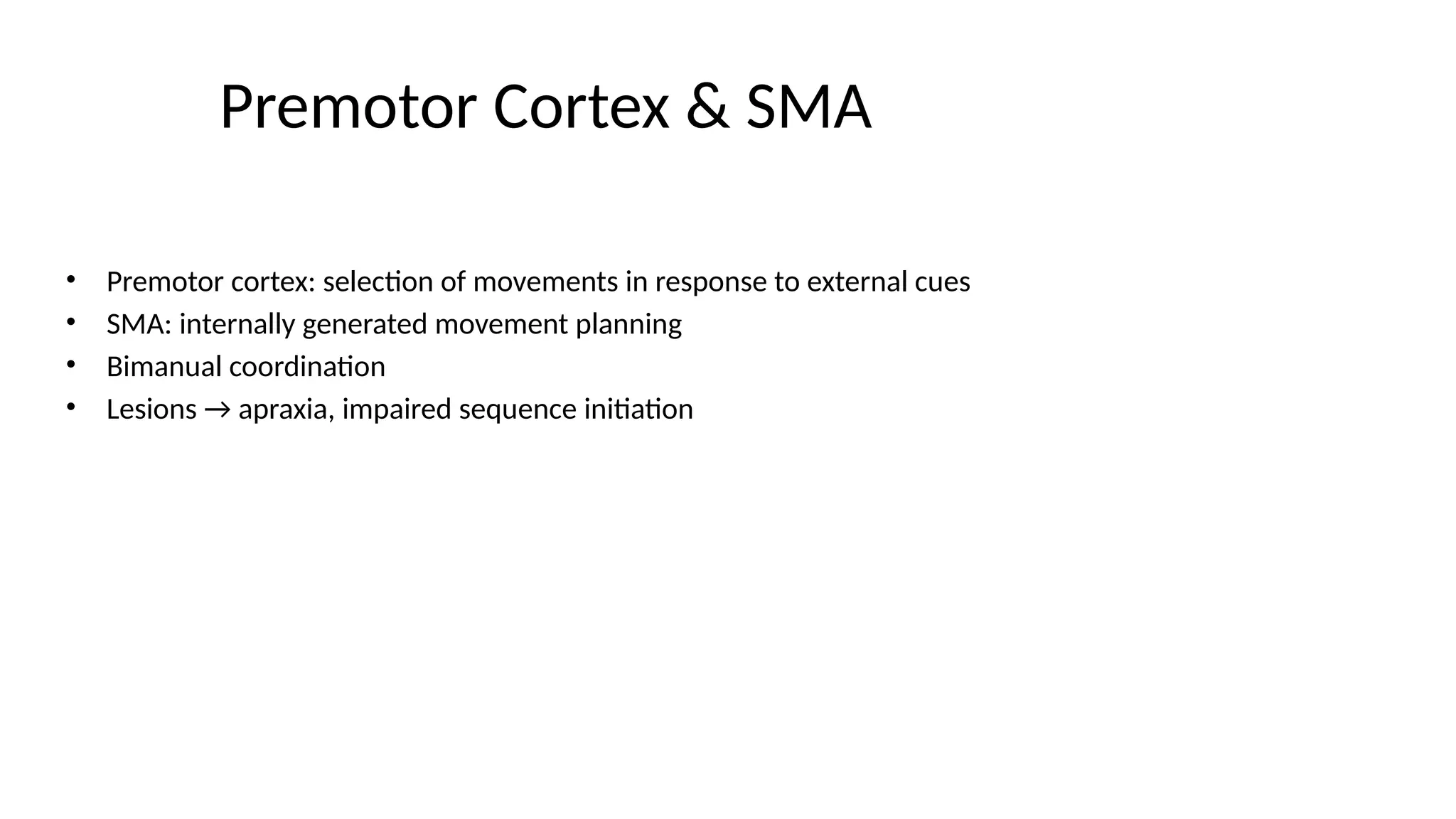Premotor Cortex & SMA
• Premotor cortex: selection of movements in response to external cues
• SMA: internally generated movement planning
• Bimanual coordination
• Lesions → apraxia, impaired sequence initiation
 