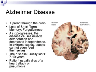 Alzheimer Disease Spread through the brain Loss of Short-Term Memory, Forgetfulness As it progresses, the disease causes muscle deterioration and decreases independence. In extreme cases, people cannot even feed themselves  The disease usually lasts 7-10 years Patient usually dies of a heart attack or pneumonia 
