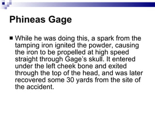 Phineas Gage While he was doing this, a spark from the tamping iron ignited the powder, causing the iron to be propelled at high speed straight through Gage’s skull. It entered under the left cheek bone and exited through the top of the head, and was later recovered some 30 yards from the site of the accident.  