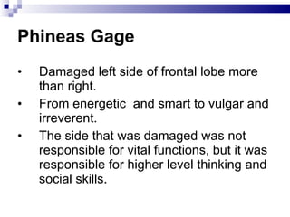 Phineas Gage Damaged left side of frontal lobe more than right. From energetic  and smart to vulgar and irreverent. The side that was damaged was not responsible for vital functions, but it was responsible for higher level thinking and social skills. 