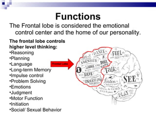 Functions The Frontal lobe is considered the emotional control center and the home of our personality. The frontal lobe controls higher level thinking: Reasoning Planning Language Long-term Memory Impulse control Problem Solving Emotions Judgment Motor Function Initiation Social/ Sexual Behavior Frontal Lobe 