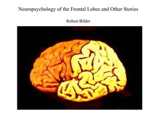Neuropsychology of the Frontal Lobes and Other Stories
Robert Bilder
 