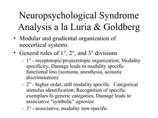 Neuropsychological Syndrome
Analysis a la Luria & Goldberg
• Modular and gradiental organization of
neocortical systems
• General roles of 1°, 2°, and 3° divisions
– 1° - receptotopic/projectotopic organization; Modality
specificity; Damage leads to modality specific
functional loss (scotoma, anesthesia, acoustic
discrimination)
– 2° - higher order, still modality specific. Categorical
stimulus identification; Recognition of specific
exemplars fo generic categories; Damage leads to
associative "symbolic" agnosias
– 3° - associative, modality non-specific
 