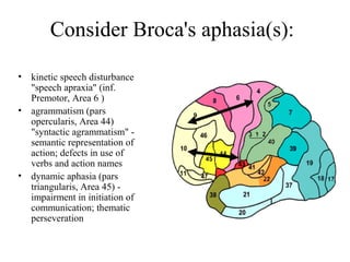 Consider Broca's aphasia(s):
• kinetic speech disturbance
"speech apraxia" (inf.
Premotor, Area 6 )
• agrammatism (pars
opercularis, Area 44)
"syntactic agrammatism" -
semantic representation of
action; defects in use of
verbs and action names
• dynamic aphasia (pars
triangularis, Area 45) -
impairment in initiation of
communication; thematic
perseveration
 