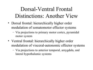 Dorsal-Ventral Frontal
Distinctions: Another View
• Dorsal frontal: hierarchically higher order
modulation of somatomotor effector systems
– Via projections to primary motor cortex, pyramidal
motor system
• Ventral frontal: hierarchically higher order
modulation of visceral-autonomic effector systems
– Via projections to anterior temporal, amygdala, and
lateral hypothalamic systems
 