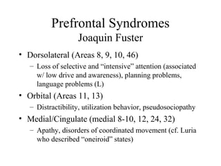 Prefrontal Syndromes
Joaquin Fuster
• Dorsolateral (Areas 8, 9, 10, 46)
– Loss of selective and “intensive” attention (associated
w/ low drive and awareness), planning problems,
language problems (L)
• Orbital (Areas 11, 13)
– Distractibility, utilization behavior, pseudosociopathy
• Medial/Cingulate (medial 8-10, 12, 24, 32)
– Apathy, disorders of coordinated movement (cf. Luria
who described “oneiroid” states)
 