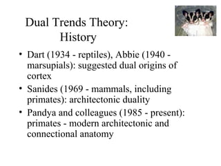 Dual Trends Theory:
History
• Dart (1934 - reptiles), Abbie (1940 -
marsupials): suggested dual origins of
cortex
• Sanides (1969 - mammals, including
primates): architectonic duality
• Pandya and colleagues (1985 - present):
primates - modern architectonic and
connectional anatomy
 