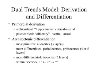 Dual Trends Model: Derivation
and Differentiation
• Primordial derivation
– archicortical: “hippocampal” - dorsal-medial
– paleocortical: “olfactory” - ventral-lateral
• Architectonic differentiation
– most primitive: allocortex (3 layers)
– more differentiated: periallocortex, proisocortex (4 or 5
layers)
– most differentiated: isocortex (6 layers)
– within isocortex, 1° ← 2° → 3°
 