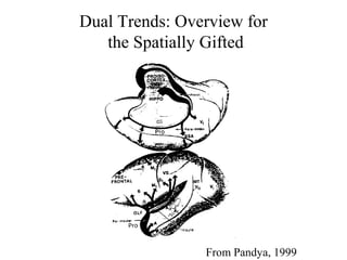 From Pandya, 1999
Dual Trends: Overview for
the Spatially Gifted
 