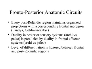 Fronto-Posterior Anatomic Circuits
• Every post-Rolandic region maintains organized
projections with a corresponding frontal subregion
(Pandya, Goldman-Rakic)
• Duality in posterior sensory systems (archi vs
paleo) is paralleled by duality in frontal effector
systems (archi vs paleo)
• Level of differentiation is honored between frontal
and post-Rolandic regions
 