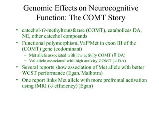 Genomic Effects on Neurocognitive
Function: The COMT Story
• catechol-O-methyltransferase (COMT), catabolizes DA,
NE, other catechol compounds
• Functional polymorphism, Val158
Met in exon III of the
(COMT) gene (codominant)
– Met allele associated with low activity COMT (⇑ DA)
– Val allele associated with high activity COMT (⇓ DA)
• Several reports show association of Met allele with better
WCST performance (Egan, Malhotra)
• One report links Met allele with more prefrontal activation
using fMRI (⇓ efficiency) (Egan)
 