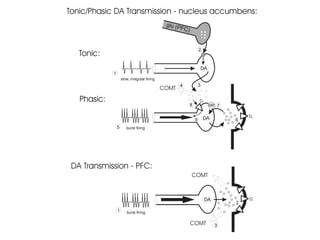 Seminars in Addiction Psychiatry
 