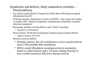 Syndromes and deficits; likely anatomical correlates :
Dorsal pathway
– Eye motor control deficits: Frontal Eye fields direct EM based on spatial
information from PL
– Working memory impairment: Lesions in DLPFC ; also single unit studies
in monkey PFC; delayed component; manipulation component; response
selection component
– Reasoning, problem solving deficits; poor “fluid” reasoning
• Integration of information
– Perseveration: 46/44 direct stimulation produces perseveration deficits
• Appears separate from WM
– Memory retrieval deficits
• Probable anterior, BA 10 contribution to active search/retrieval
from LTM; probable RH contribution
• HERA model (Heispheric encoding/rectrieval asymmetry;
found in verbal memory tasks: LH active during learning of
new (verbal) memories; RH active during retrieval
 