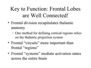 Key to Function: Frontal Lobes
are Well Connected!
• Frontal division recapitulates thalamic
anatomy
– One method for defining cortical regions relies
on the thalamic projection system
• Frontal “circuits” more important than
frontal “regions”
• Frontal “systems” mediate activation states
across the entire brain
 