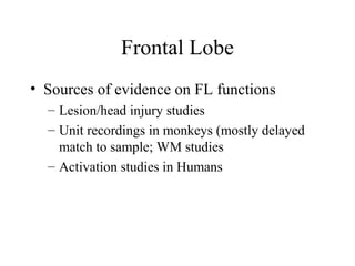 Frontal Lobe
• Sources of evidence on FL functions
– Lesion/head injury studies
– Unit recordings in monkeys (mostly delayed
match to sample; WM studies
– Activation studies in Humans
 