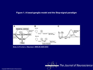 Copyright ©2006 Society for Neuroscience
Aron, A. R. et al. J. Neurosci. 2006;26:2424-2433
Figure 1. A basal-ganglia model and the Stop-signal paradigm
 