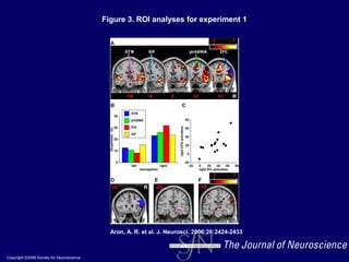 Copyright ©2006 Society for Neuroscience
Aron, A. R. et al. J. Neurosci. 2006;26:2424-2433
Figure 3. ROI analyses for experiment 1
 