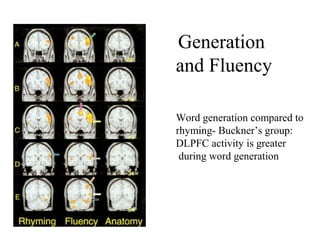 Generation
and Fluency
Word generation compared to
rhyming- Buckner’s group:
DLPFC activity is greater
during word generation
 