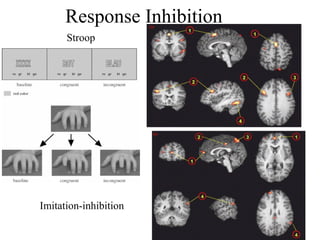 Response Inhibition
Stroop
Imitation-inhibition
 