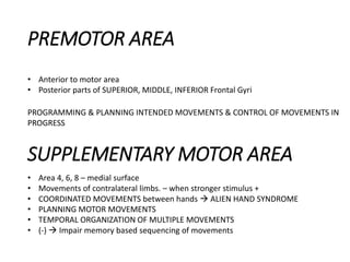 PREMOTOR AREA
• Anterior to motor area
• Posterior parts of SUPERIOR, MIDDLE, INFERIOR Frontal Gyri
PROGRAMMING & PLANNING INTENDED MOVEMENTS & CONTROL OF MOVEMENTS IN
PROGRESS
SUPPLEMENTARY MOTOR AREA
• Area 4, 6, 8 – medial surface
• Movements of contralateral limbs. – when stronger stimulus +
• COORDINATED MOVEMENTS between hands  ALIEN HAND SYNDROME
• PLANNING MOTOR MOVEMENTS
• TEMPORAL ORGANIZATION OF MULTIPLE MOVEMENTS
• (-)  Impair memory based sequencing of movements
 