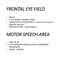 FRONTAL EYE FIELD
MOTOR SPEECH AREA
• AREA 8
• In the MIDDLE FRONTAL GYRUS
• CONJUGATE EYE MOVEMENTS – movement of eyes in
opposite direction
• GAZE DEVIATION - IPSILATERALLY
• AREA 44, 45
• In the INFERIOR FRONTAL GYRUS of DOMINANT
HEMISPHERE
• INJURY - APHASIA
 