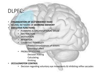 DLPFC:
• ORGANIZATION OF SELF ORDERED TASKS
• NEURAL NETWORK OF WORKING MEMORY
• EXECUTIVE FUNCTIONS:
• PLANNING & ORGANISATIONAL SKILLS
• ABSTRACTION
• MOTIVATION
• ATTENTION
• COGNITIVE FLEXIBILITY
Predict consequences of actions
Emotional affect
• PROBLEM SOLVING
Decision making
Calculating
thinking
• OCCULOMOTOR CONTROL
• Decision regarding voluntary eye movements & inhibiting reflex saccades
 