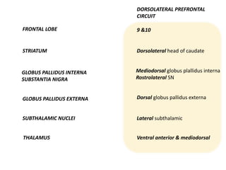 DORSOLATERAL PREFRONTAL
CIRCUIT
FRONTAL LOBE
STRIATUM
GLOBUS PALLIDUS INTERNA
SUBSTANTIA NIGRA
GLOBUS PALLIDUS EXTERNA
SUBTHALAMIC NUCLEI
THALAMUS
9 &10
Dorsolateral head of caudate
Mediodorsal globus plallidus interna
Rostrolateral SN
Dorsal globus pallidus externa
Lateral subthalamic
Ventral anterior & mediodorsal
 