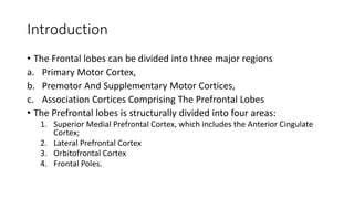 Introduction
• The Frontal lobes can be divided into three major regions
a. Primary Motor Cortex,
b. Premotor And Supplementary Motor Cortices,
c. Association Cortices Comprising The Prefrontal Lobes
• The Prefrontal lobes is structurally divided into four areas:
1. Superior Medial Prefrontal Cortex, which includes the Anterior Cingulate
Cortex;
2. Lateral Prefrontal Cortex
3. Orbitofrontal Cortex
4. Frontal Poles.
 