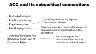 ACC and its subcortical connections
• Motivated behavior
• Conflict monitoring
• Cognitive control
• Emotion regulation. Subgenual and region rostral to the genu of the
corpus callosum with reciprocal amygdala
connections
· Cognitive Functions And
Behavioral Expression of
Emotional States
Dorsal ACC regions are
interconnected to lateral and
mediodorsal prefrontal regions
The Ability To Pursue and Regulate
Goal-oriented Behavior
 