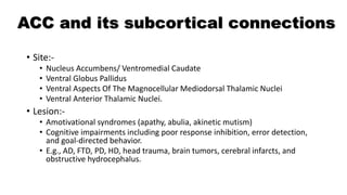 • Site:-
• Nucleus Accumbens/ Ventromedial Caudate
• Ventral Globus Pallidus
• Ventral Aspects Of The Magnocellular Mediodorsal Thalamic Nuclei
• Ventral Anterior Thalamic Nuclei.
• Lesion:-
• Amotivational syndromes (apathy, abulia, akinetic mutism)
• Cognitive impairments including poor response inhibition, error detection,
and goal-directed behavior.
• E.g., AD, FTD, PD, HD, head trauma, brain tumors, cerebral infarcts, and
obstructive hydrocephalus.
ACC and its subcortical connections
 